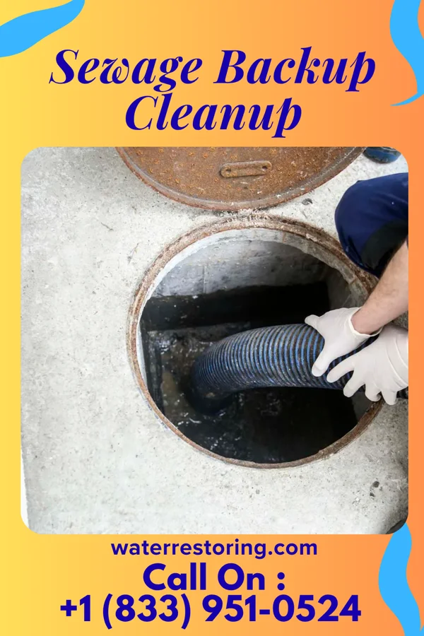 Sewage Backup Cleanup in Homestead Meadows South, TX